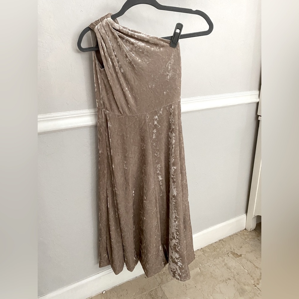 Trish scully velvet dress